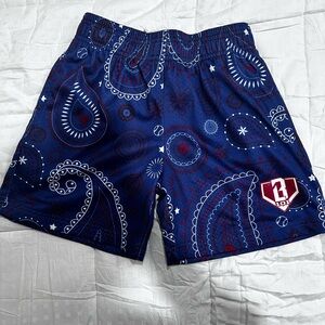Boys Blue Paisley Baseball Lifestyle Shorts